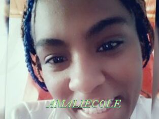 AMALIECOLE Tel Coquin