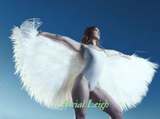 Aerial_Leigh