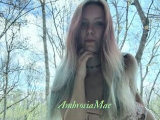 AmbrosiaMae