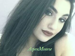 AspenMonroe Tel Coquin