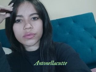 Antonellacutte