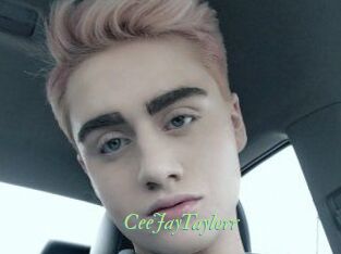 CeeJayTaylorr