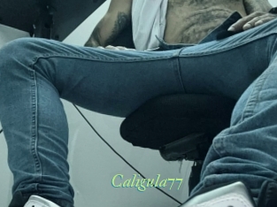caligula77 Tel Coquin