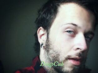 DingoCub