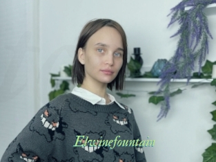 Elwinefountain