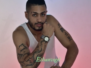 ethanvogel Tel Coquin