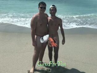 GaysForYou
