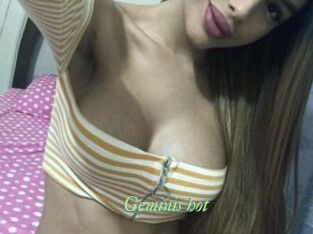 Geminis_hot Tel Coquin