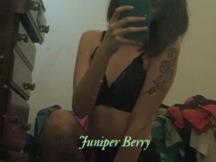 Juniper_Berry