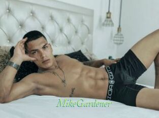 MikeGardener Tel Coquin