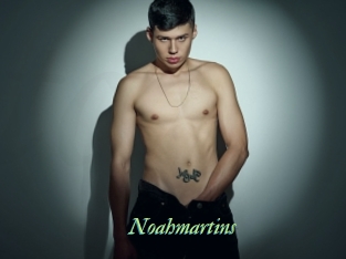noahmartins Tel Coquin