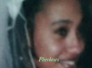 Pherbtoto Tel Coquin