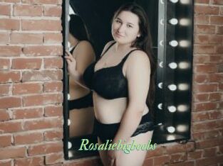 Rosaliebigboobs
