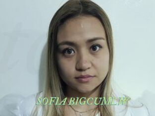 SOFIA_BIGCUMLW