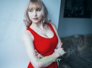 sollyflower Tel Coquin