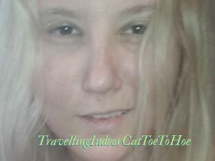 TravellingIndoorCatToeToHoe