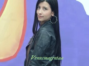 Venusmagentaa