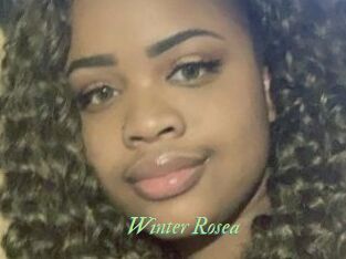 Winter_Rosea