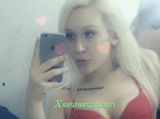Xoxosnowbunny