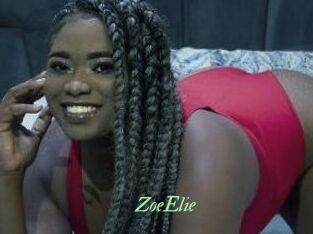ZoeElie Tel Coquin